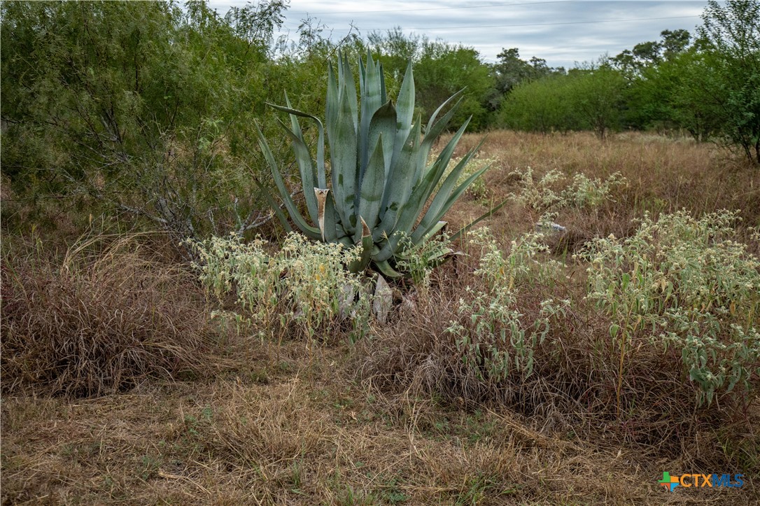 The S&K 408 | 408± Acres | Cuero, DeWitt County, Texas