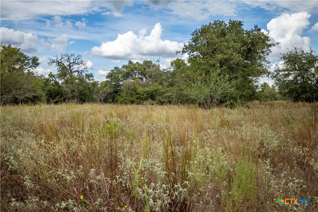 The S&K 408 | 408± Acres | Cuero, DeWitt County, Texas