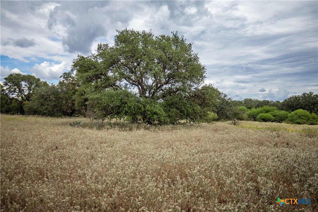 1078 Mueller Lang Road