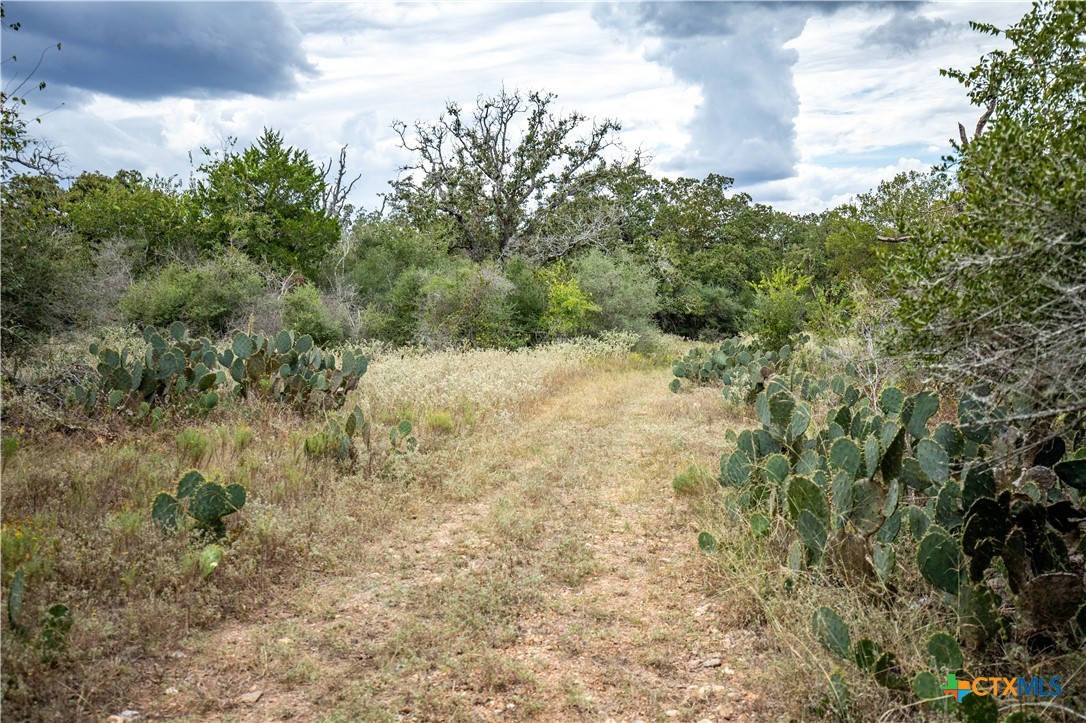 1078 Mueller Lang Road