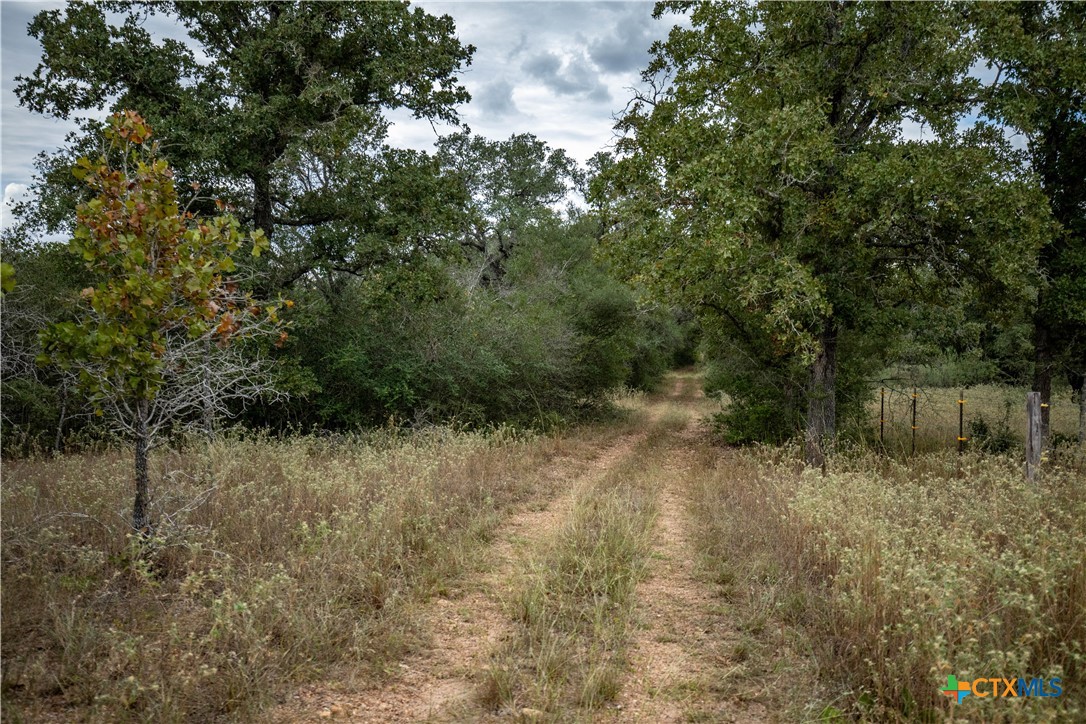1078 Mueller Lang Road
