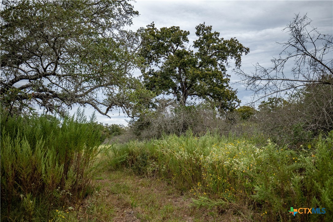 The S&K 408 | 408± Acres | Cuero, DeWitt County, Texas
