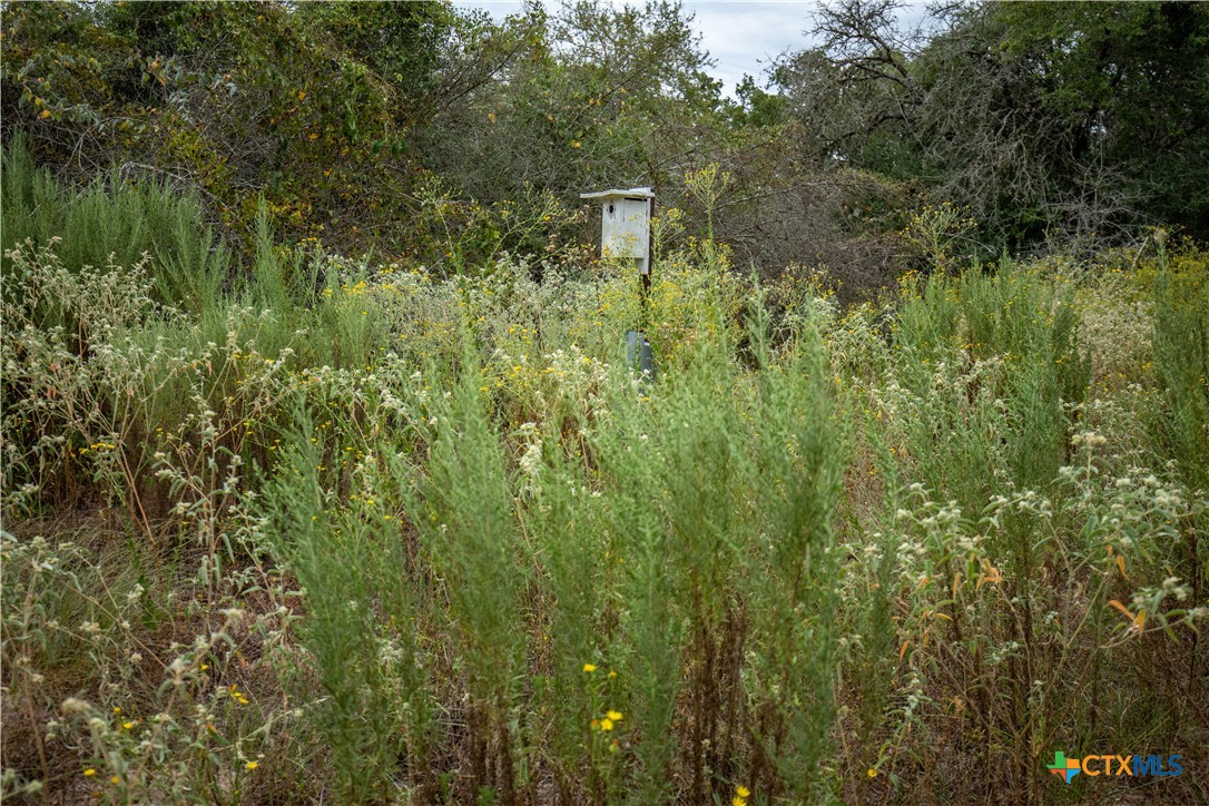 1078 Mueller Lang Road