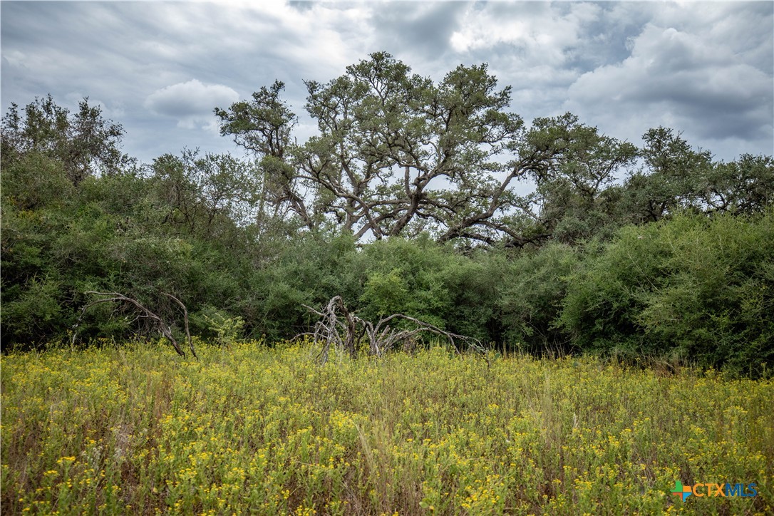 The S&K 408 | 408± Acres | Cuero, DeWitt County, Texas