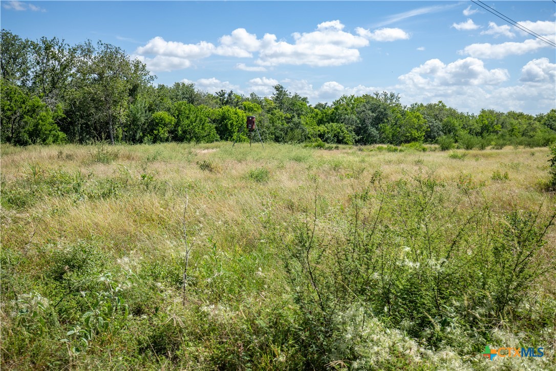 The Utley Ranch | 411± Acres | Karnes County