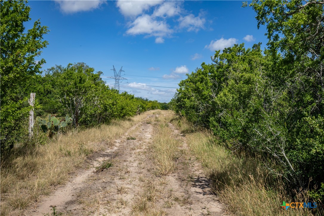 The Utley Ranch | 411± Acres | Karnes County
