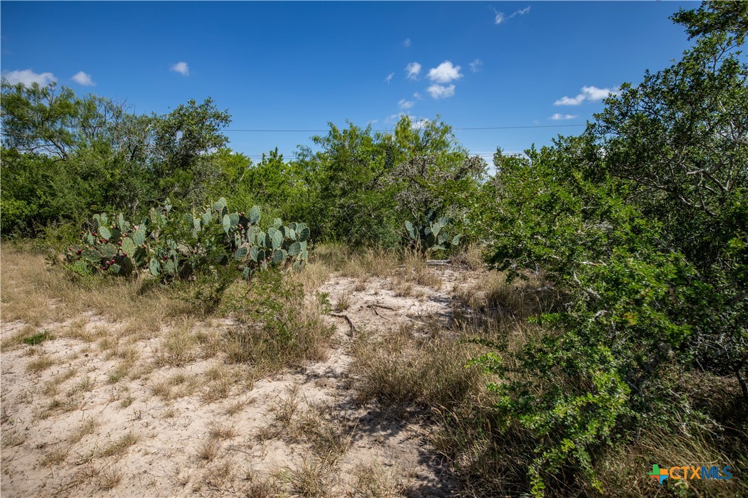 The Utley Ranch | 411± Acres | Karnes County