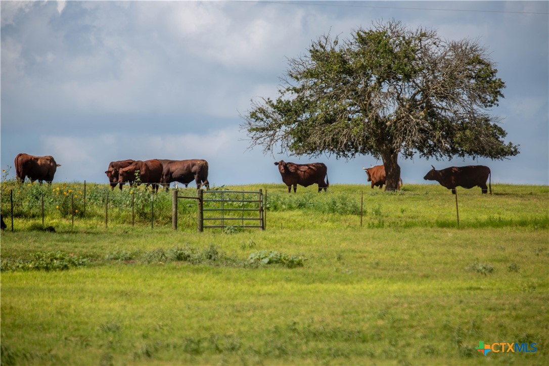 The Utley Ranch | 411± Acres | Karnes County