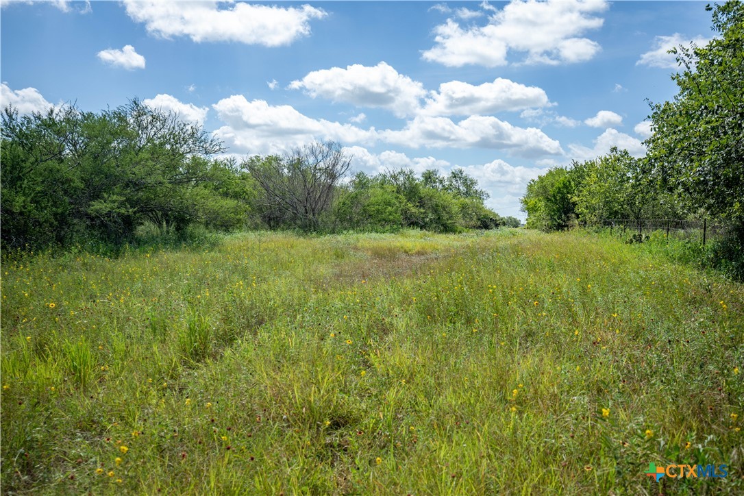 The Utley Ranch | 411± Acres | Karnes County