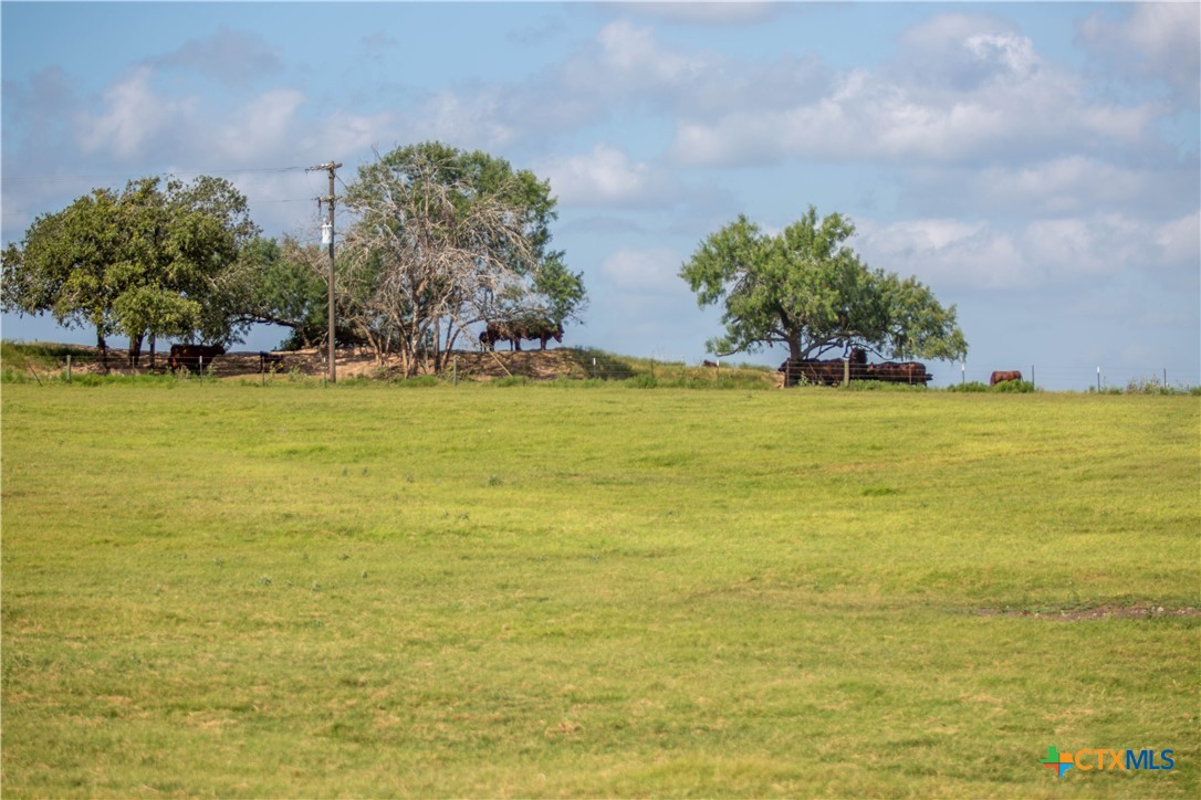 The Utley Ranch | 411± Acres | Karnes County