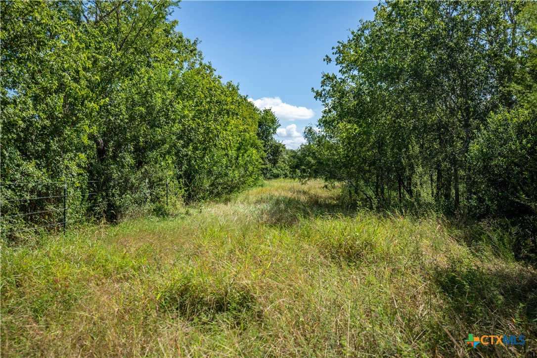 The Utley Ranch | 411± Acres | Karnes County