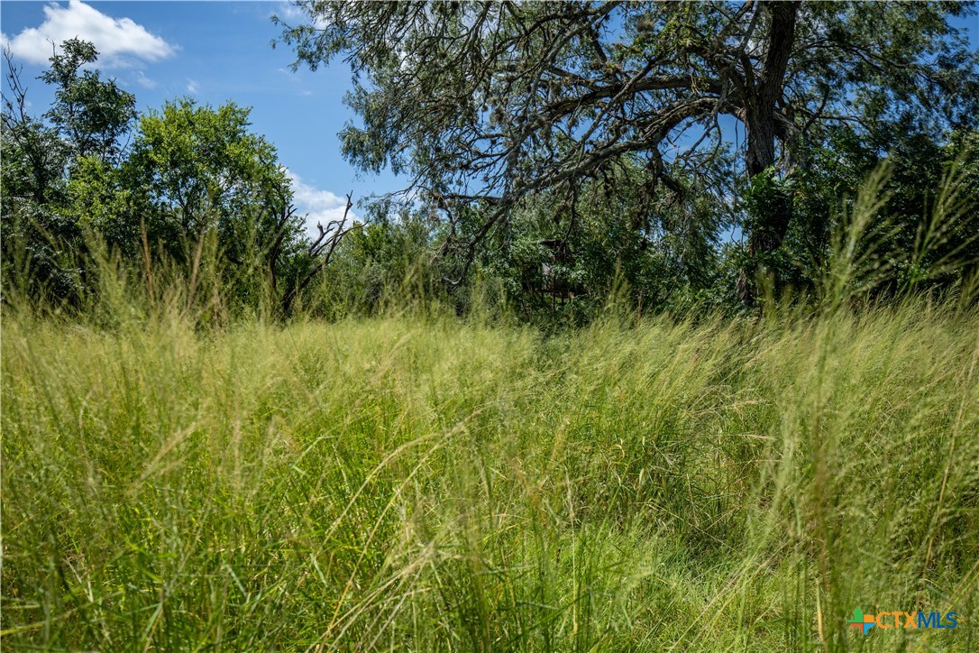 The Utley Ranch | 411± Acres | Karnes County