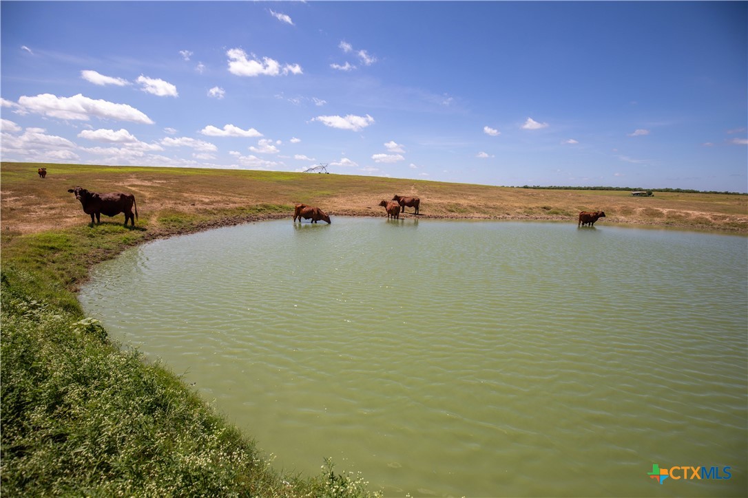 The Utley Ranch | 411± Acres | Karnes County