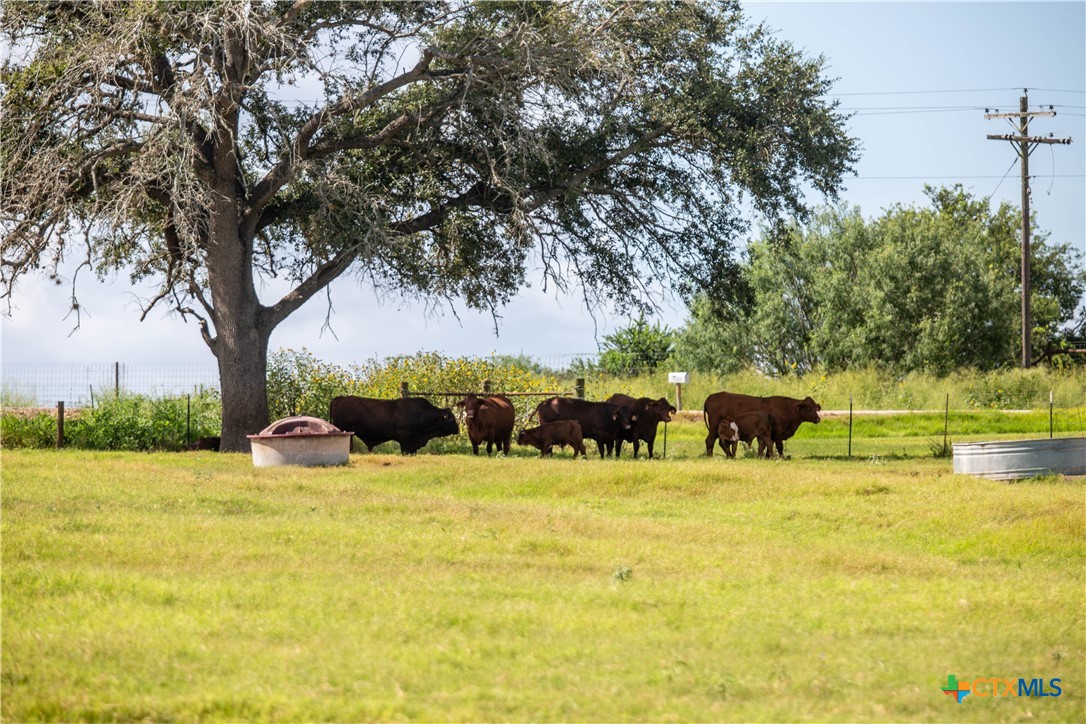 The Utley Ranch | 411± Acres | Karnes County