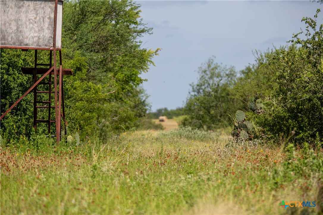 The Utley Ranch | 411± Acres | Karnes County
