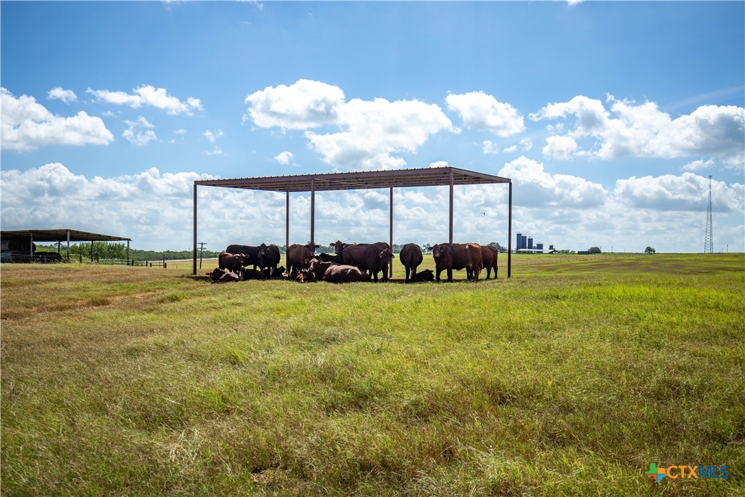 The Utley Ranch | 411± Acres | Karnes County