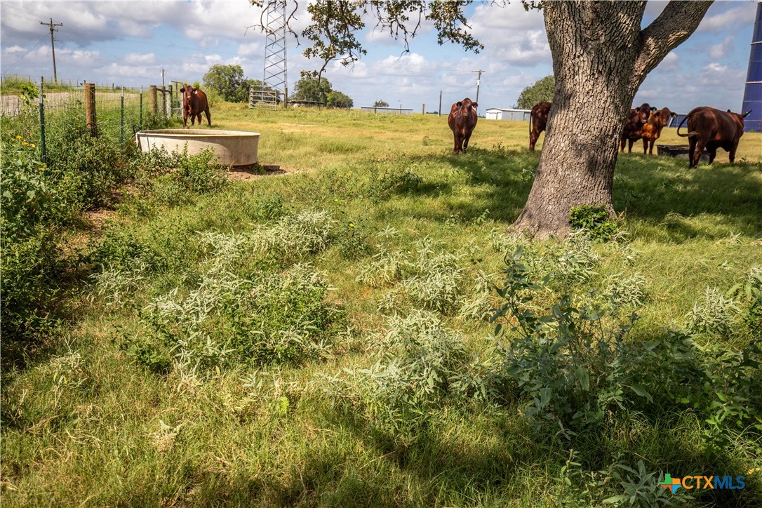 The Utley Ranch | 411± Acres | Karnes County