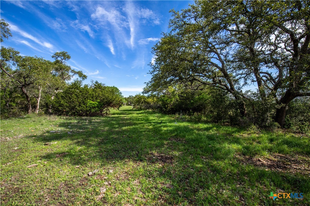 Murdock Ranch | 47± Acres | Hays County