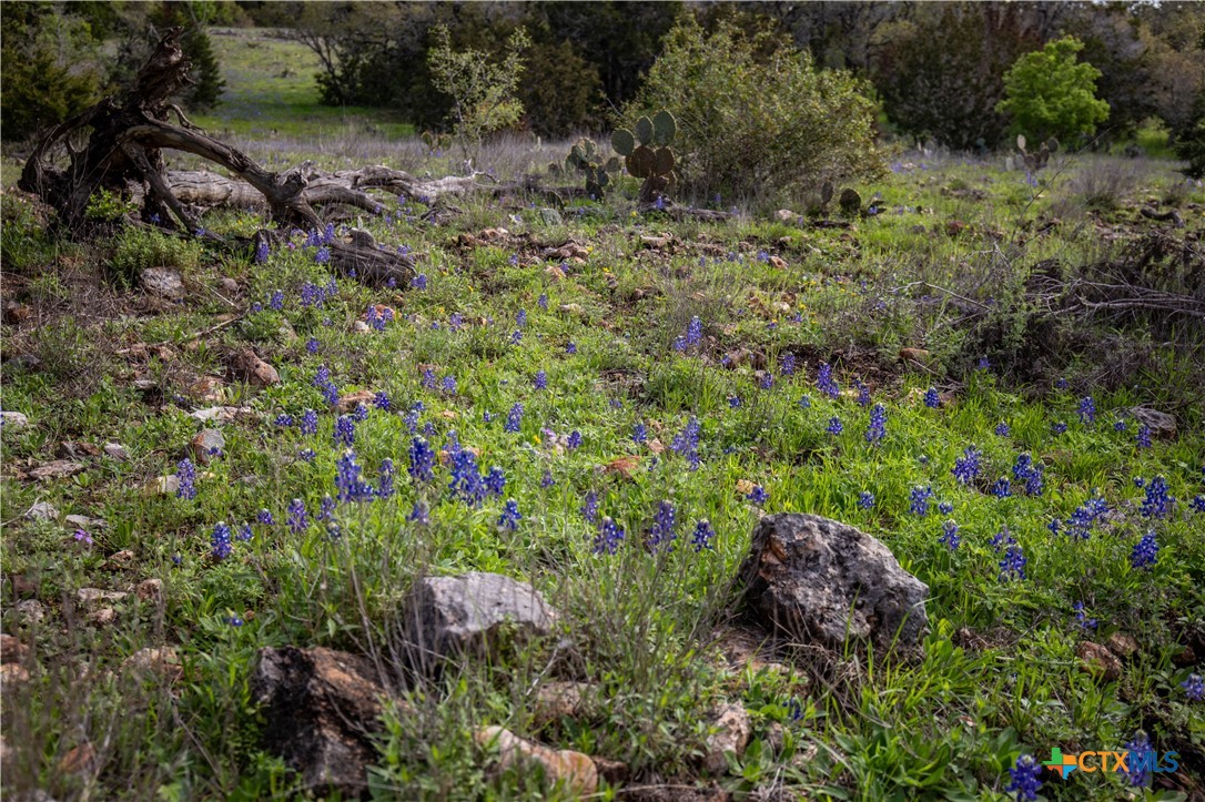 Murdock Ranch | 47± Acres | Hays County