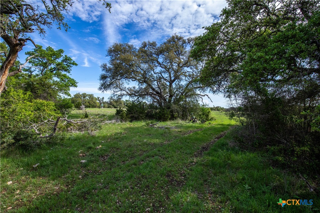Murdock Ranch | 47± Acres | Hays County