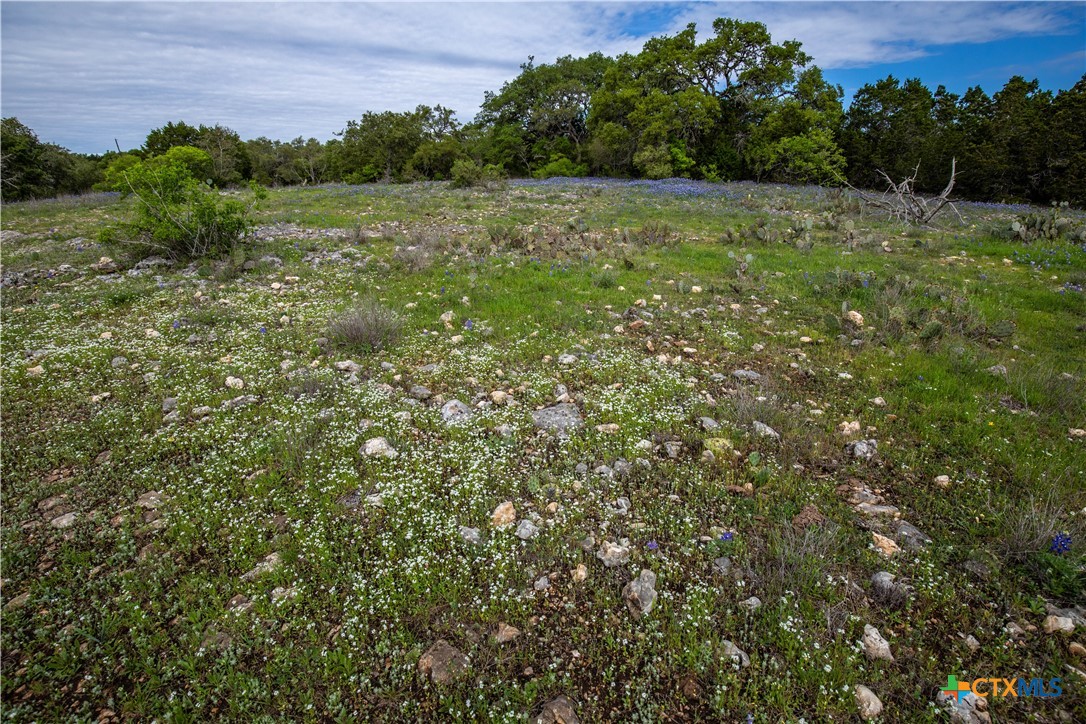 Murdock Ranch | 47± Acres | Hays County