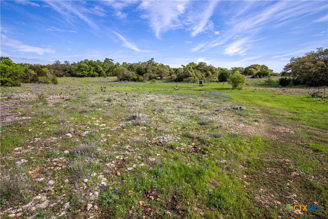 Murdock Ranch | 47± Acres | Hays County