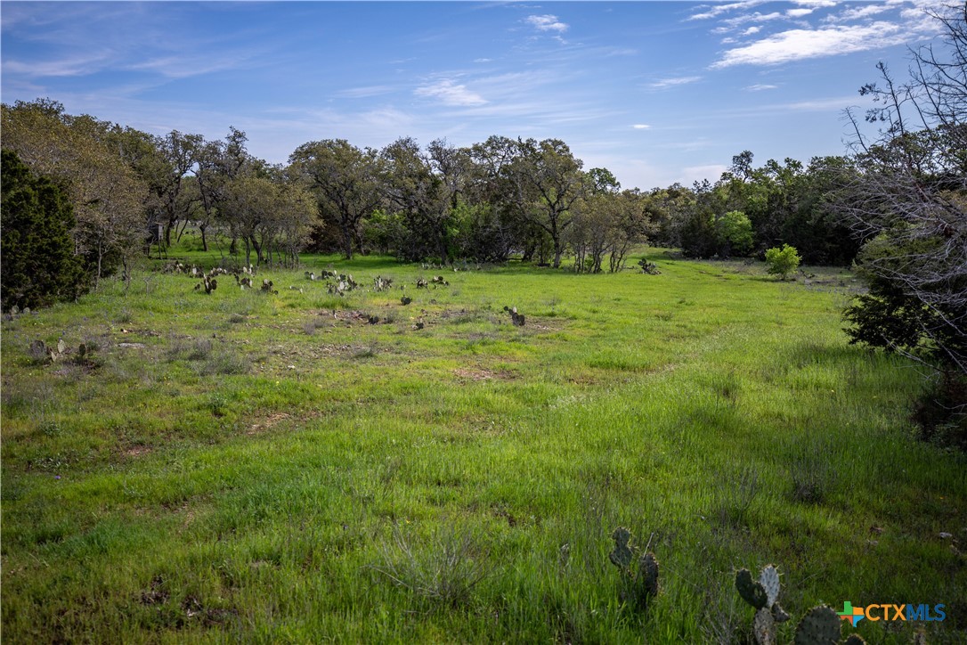 Murdock Ranch | 47± Acres | Hays County