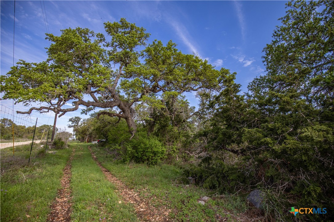 Murdock Ranch | 47± Acres | Hays County
