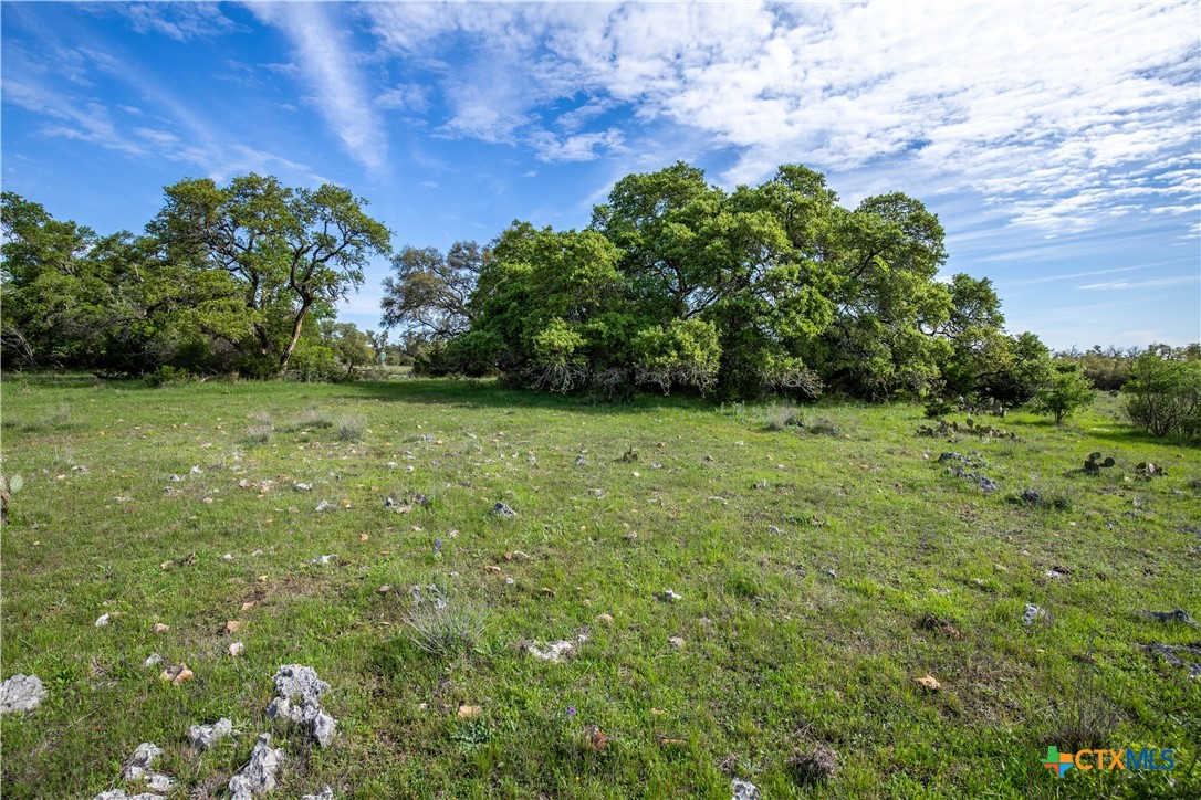 Murdock Ranch | 47± Acres | Hays County
