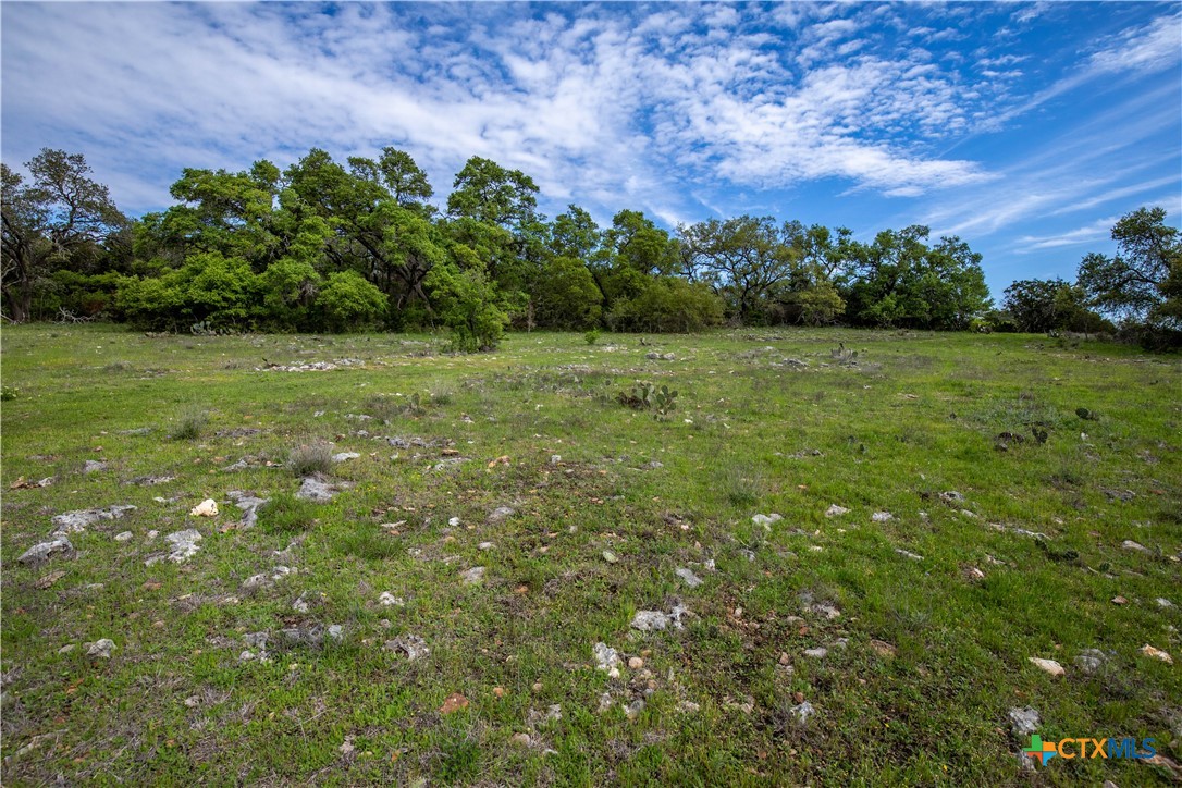 Murdock Ranch | 47± Acres | Hays County