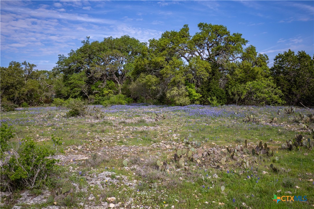 Murdock Ranch | 47± Acres | Hays County