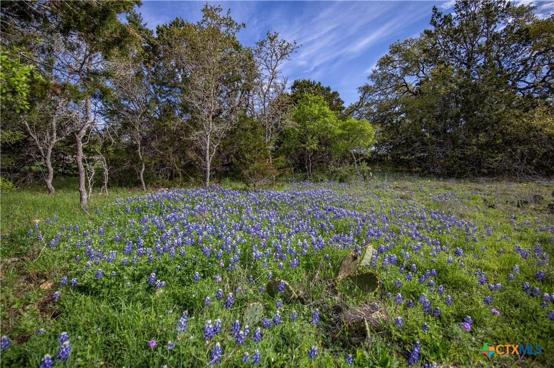 Murdock Ranch | 47± Acres | Hays County