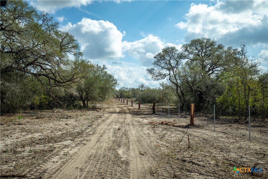 LLB Ranch | 50± Acres | DeWitt County