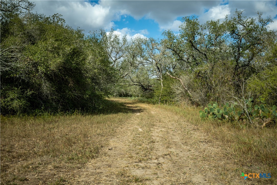 LLB Ranch | 50± Acres | DeWitt County
