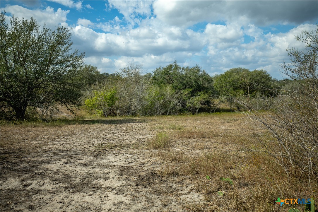 LLB Ranch | 50± Acres | DeWitt County