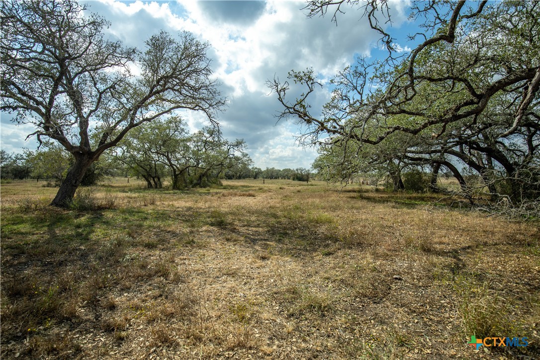 LLB Ranch | 50± Acres | DeWitt County