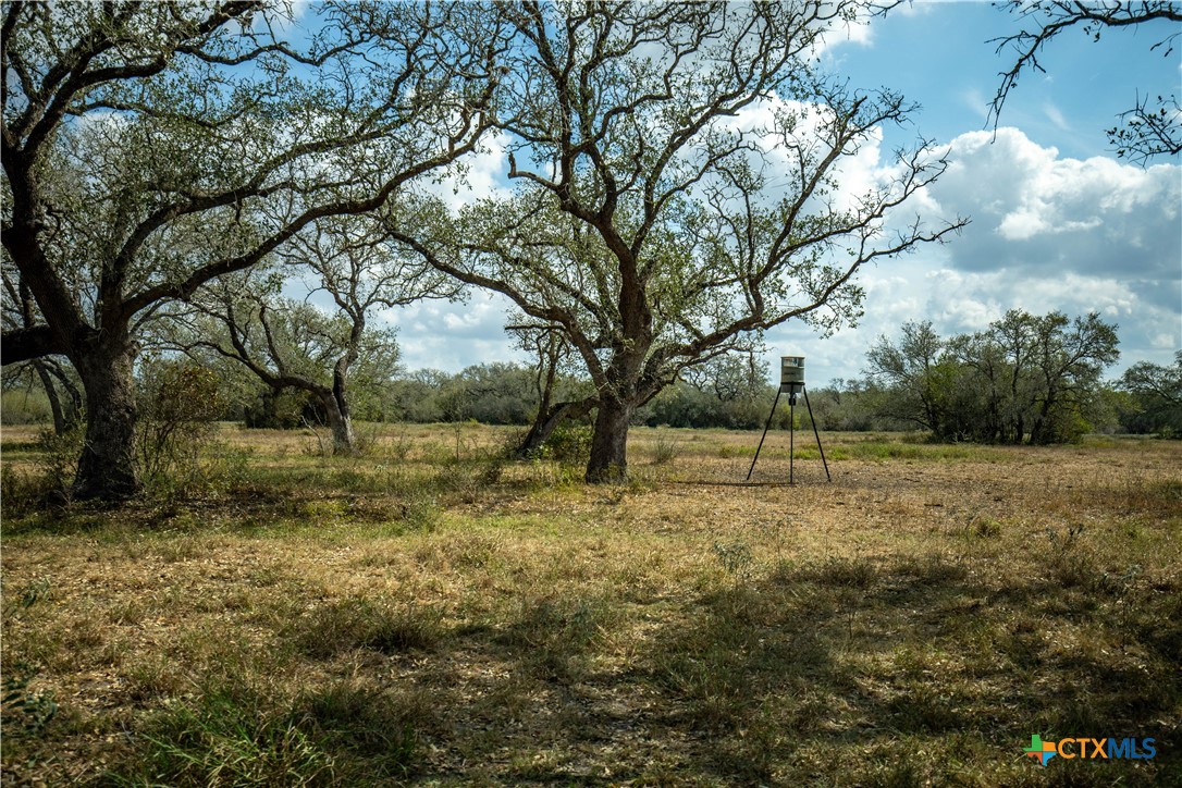 LLB Ranch | 50± Acres | DeWitt County