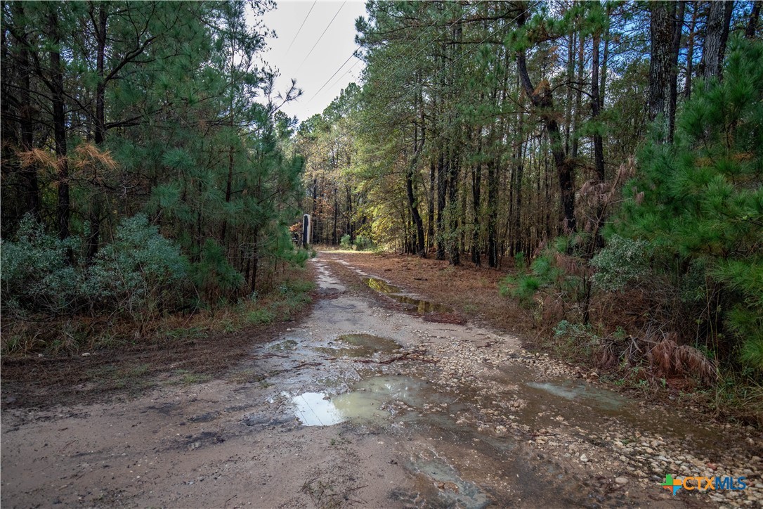 MERRILL LAKE RANCH | 185± Acres | WHITE OAK, GREGG COUNTY, TX