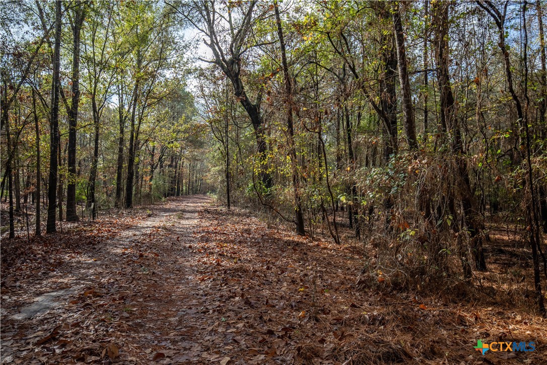 MERRILL LAKE RANCH | 185± Acres | WHITE OAK, GREGG COUNTY, TX