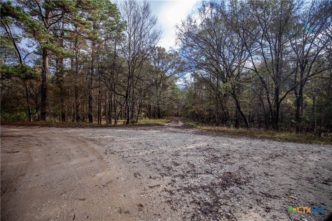 MERRILL LAKE RANCH | 185± Acres | WHITE OAK, GREGG COUNTY, TX