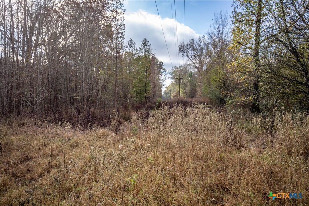 MERRILL LAKE RANCH | 185± Acres | WHITE OAK, GREGG COUNTY, TX