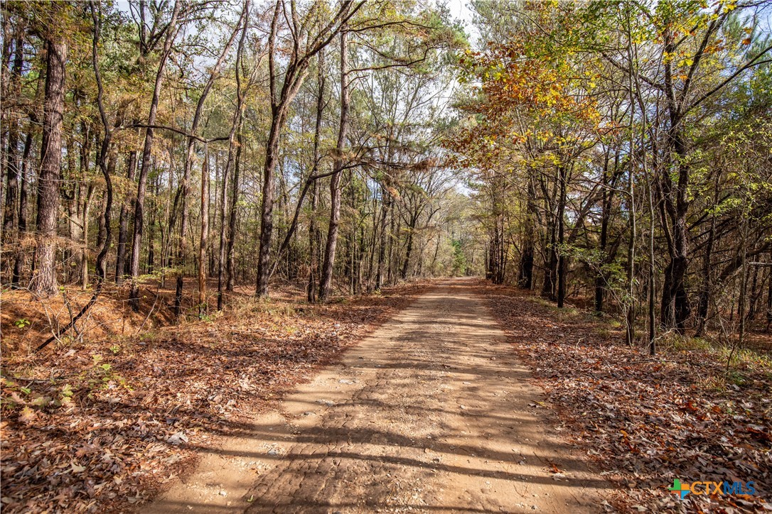 MERRILL LAKE RANCH | 185± Acres | WHITE OAK, GREGG COUNTY, TX