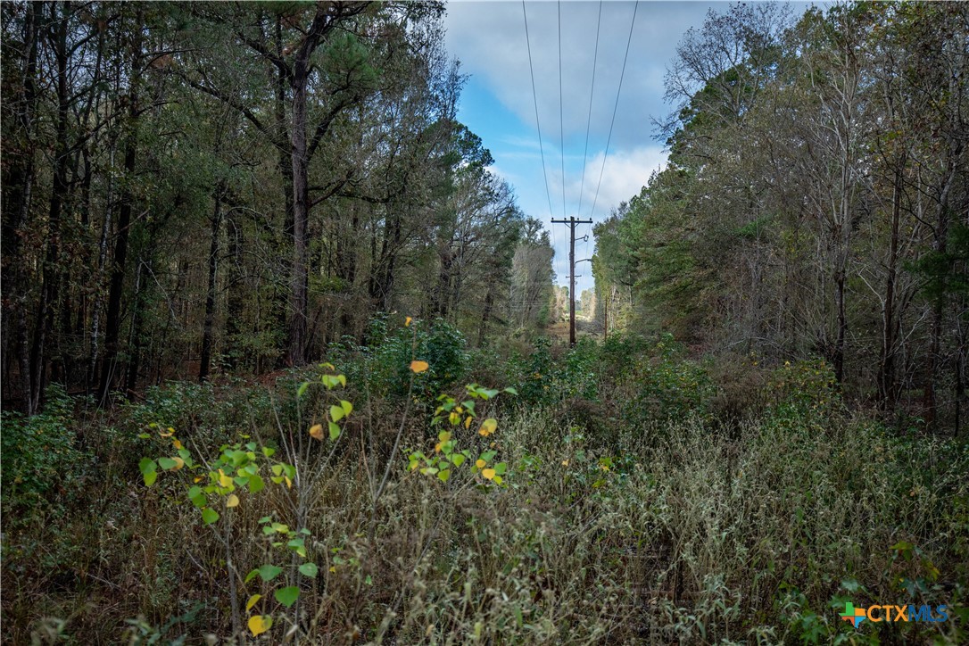 MERRILL LAKE RANCH | 185± Acres | WHITE OAK, GREGG COUNTY, TX