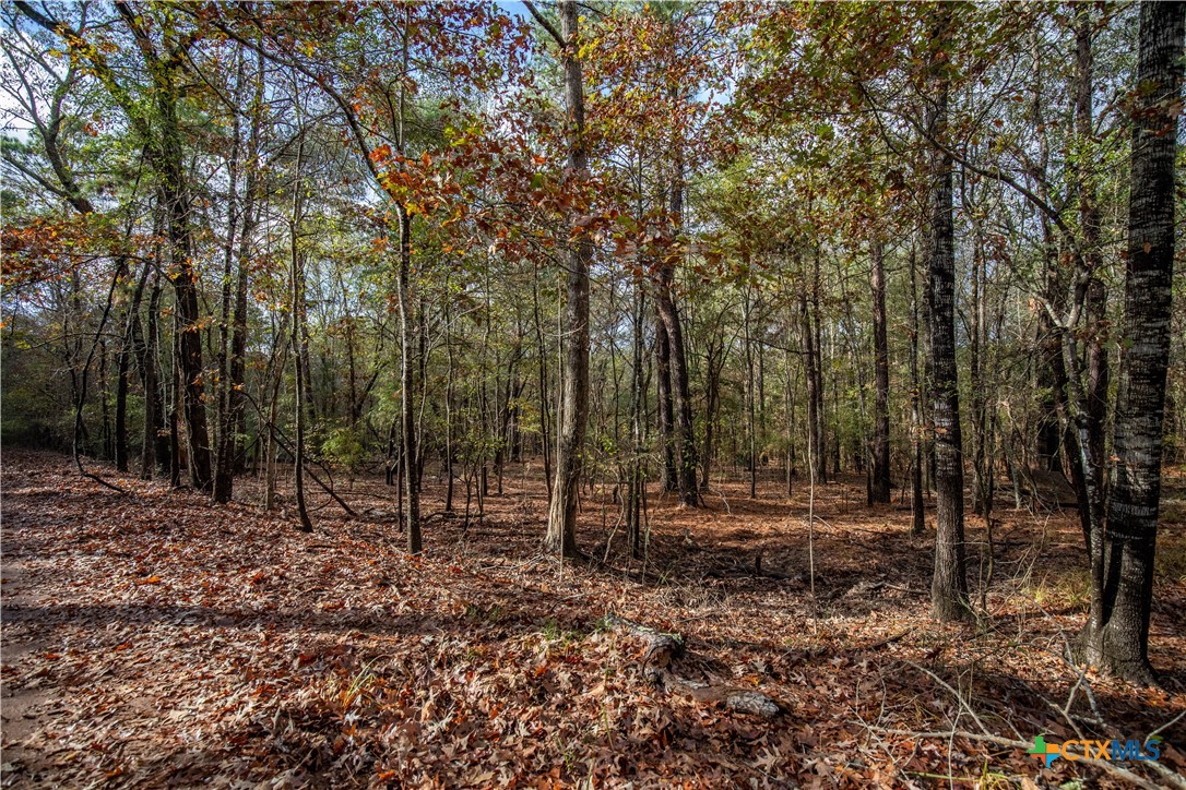 MERRILL LAKE RANCH | 185± Acres | WHITE OAK, GREGG COUNTY, TX