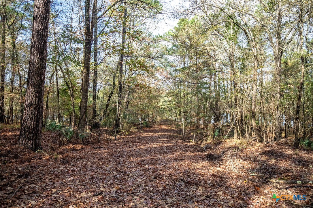 MERRILL LAKE RANCH | 185± Acres | WHITE OAK, GREGG COUNTY, TX