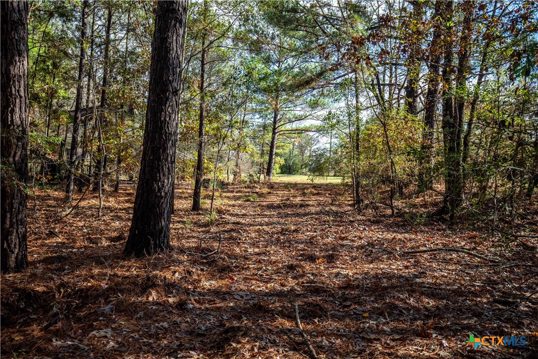 MERRILL LAKE RANCH | 185± Acres | WHITE OAK, GREGG COUNTY, TX
