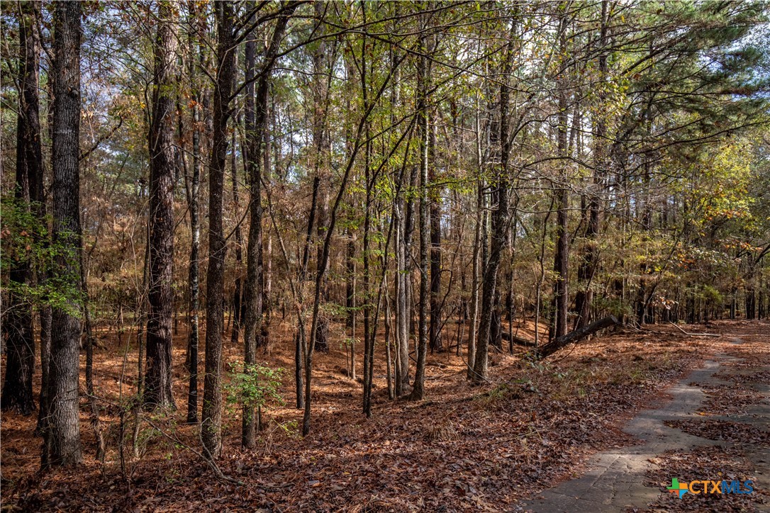 MERRILL LAKE RANCH | 185± Acres | WHITE OAK, GREGG COUNTY, TX