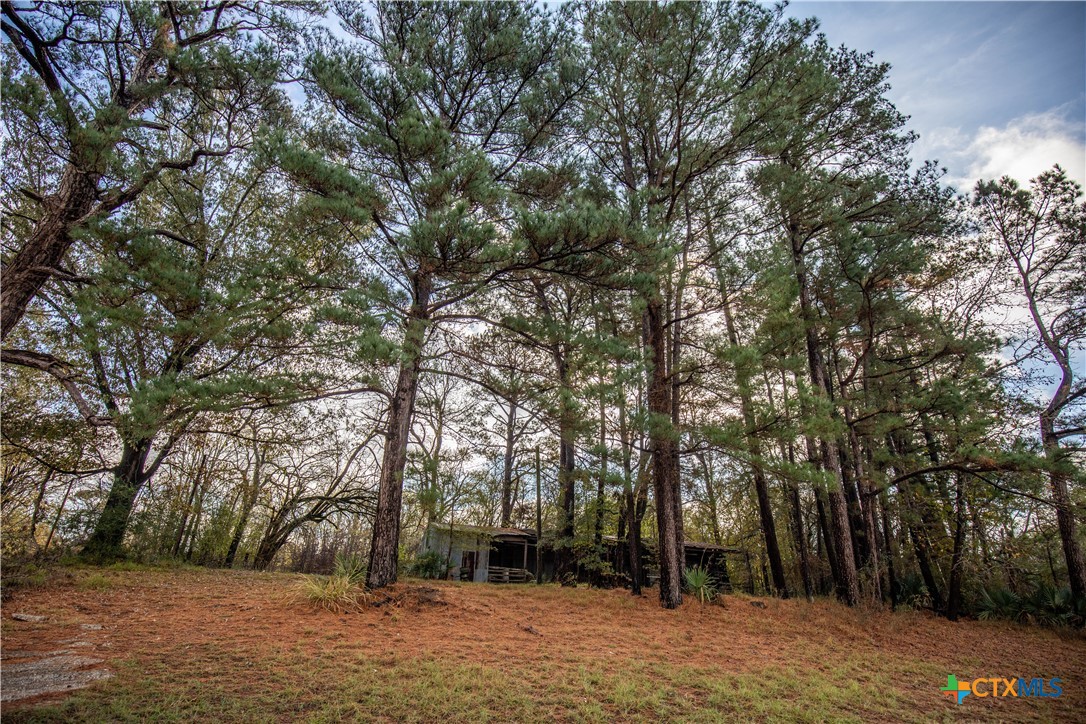 MERRILL LAKE RANCH | 185± Acres | WHITE OAK, GREGG COUNTY, TX