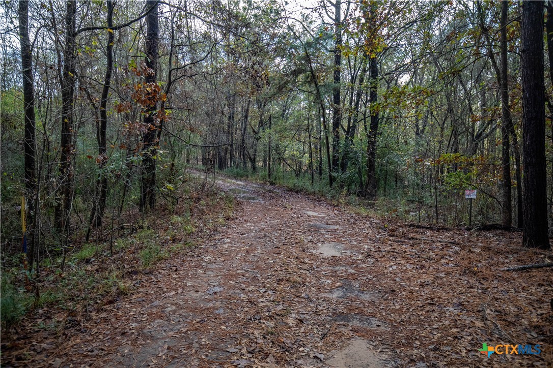 MERRILL LAKE RANCH | 185± Acres | WHITE OAK, GREGG COUNTY, TX