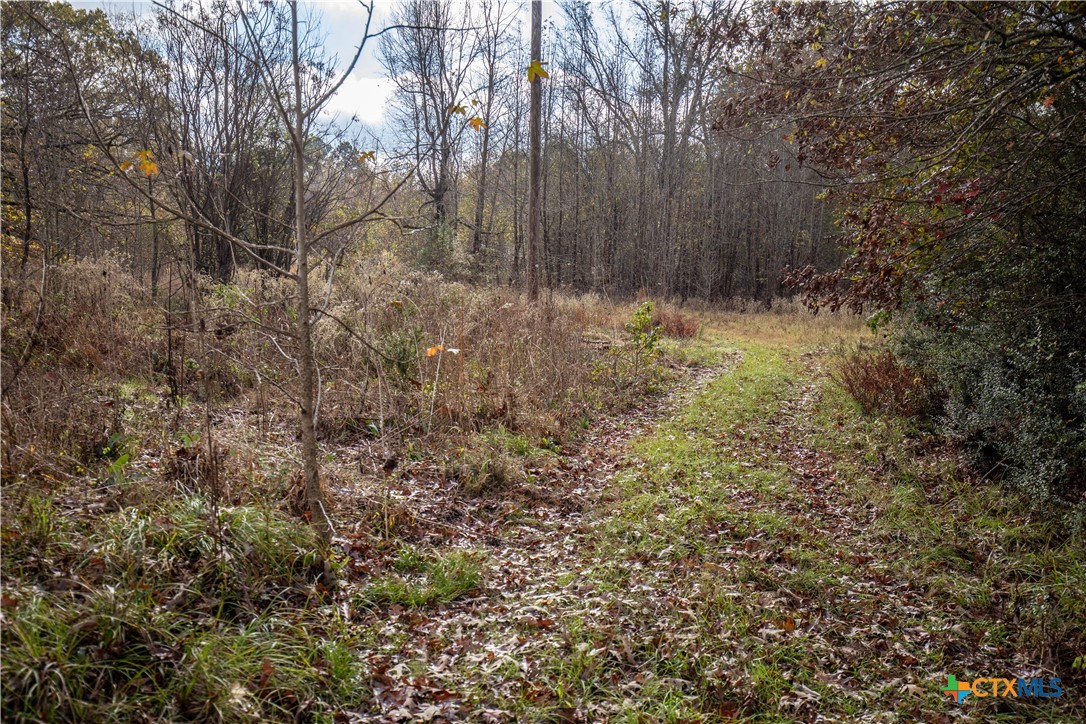 MERRILL LAKE RANCH | 185± Acres | WHITE OAK, GREGG COUNTY, TX